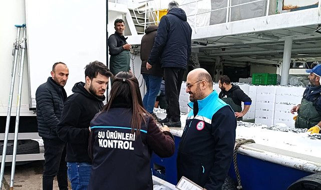 Kırklareli'de hamsi sevkiyatlarına denetim