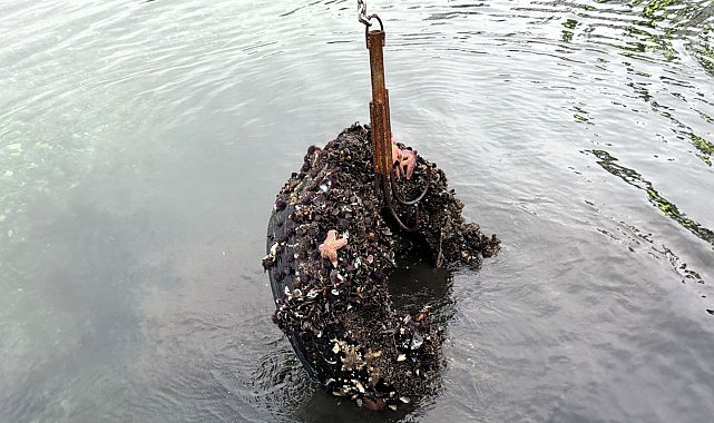 Kocaeli'de deniz dibinden 50 lastik çıktı