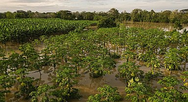 Kolombiya'da ülke genelindeki sellerde 6 kişi hayatını kaybetti