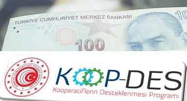 KOOP-DES Yönetmeliği'nde değişiklik Resmi Gazete'de