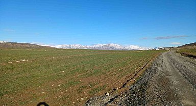 Kulp'ta yağışlar çiftçinin umudu arttı