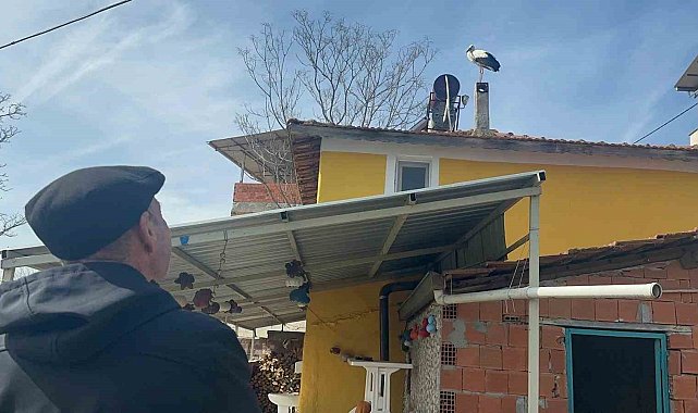 Leylek köyünde büyük sevinç: Eşi geldi, herkes Yaren'i bekliyor