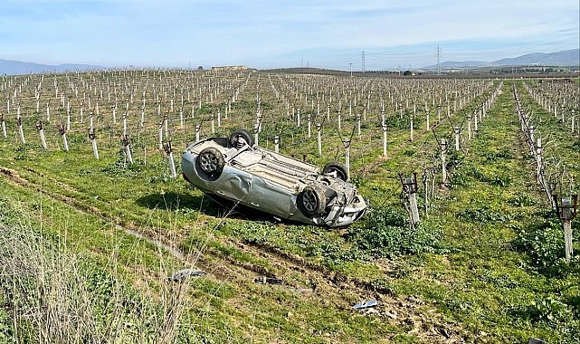 Manisa'da takla atan otomobil, üzüm bağına uçtu