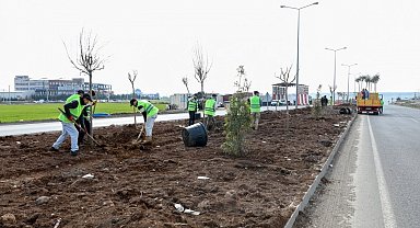 Mardin yoluna yeşil dokunuş