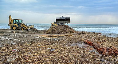 Mersin sahillerinde selin izleri siliniyor