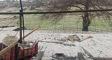 Mersin'de dolu: Ekili alanlar zarar gördü