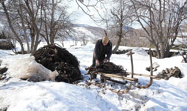 Muş'ta besicilerin asırlık geven otu geleneği sürüyor
