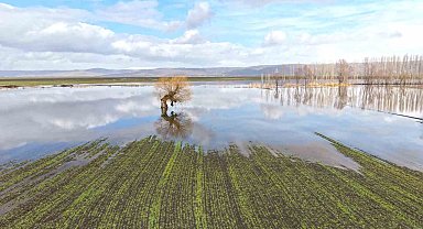 Muş'ta eriyen kar ve sağanak ovayı sular altında bıraktı