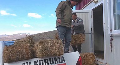 Niğde Demirkazık'ta yaban hayatına kış desteği