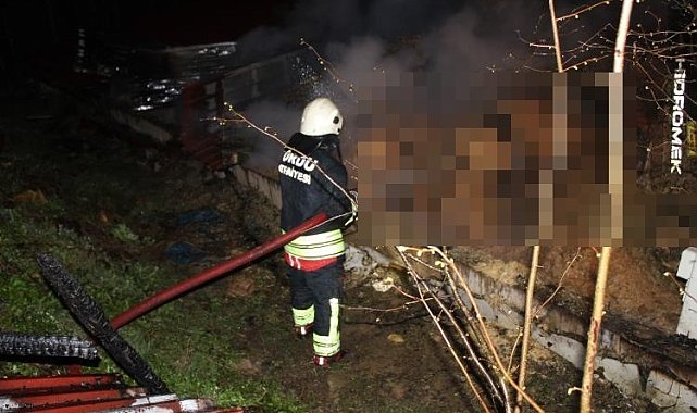 Ordu'da ahır yangını: 27 büyükbaş hayvan telef oldu