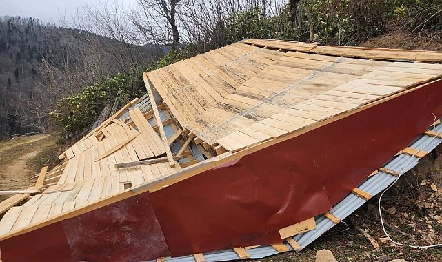Ordu'da fırtına: Evlerin çatıları uçtu