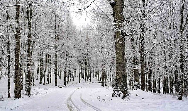 Ordu'nun 15 ilçesinde eğitime kar engeli