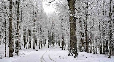 Ordu'nun 15 ilçesinde eğitime kar engeli
