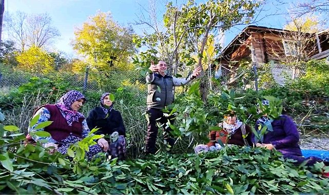 Orman köylüsü ekmeğini topraktan çıkartıyor