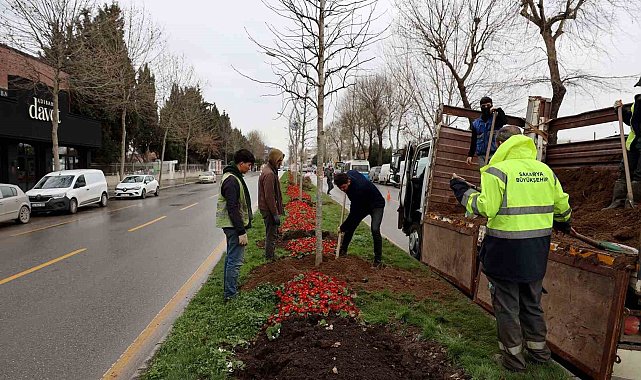 Sakarya'da 3 ayda 2 bin 500 ağaç dikildi