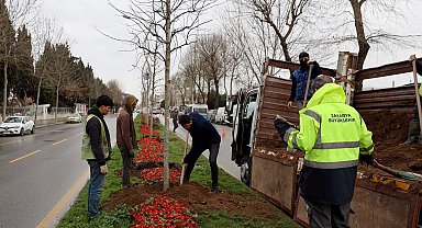 Sakarya'da 'Yeşil Şehir' vizyonu sahada