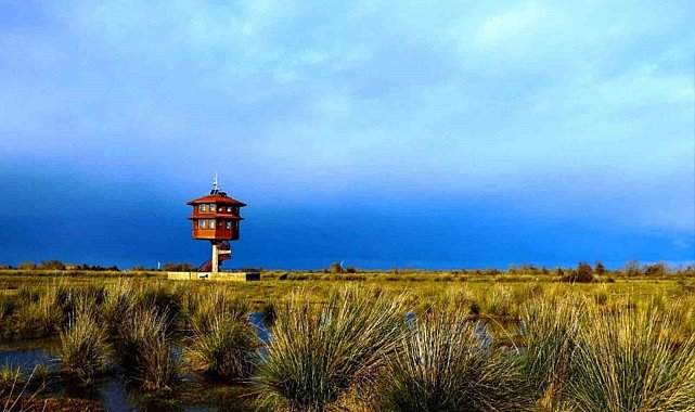 Samsun'da tabiat parklarını 186 bin 271 kişi gezdi