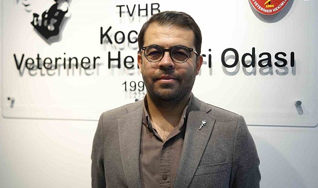 Şap hastalığıyla mücadele aşılama programı başladı