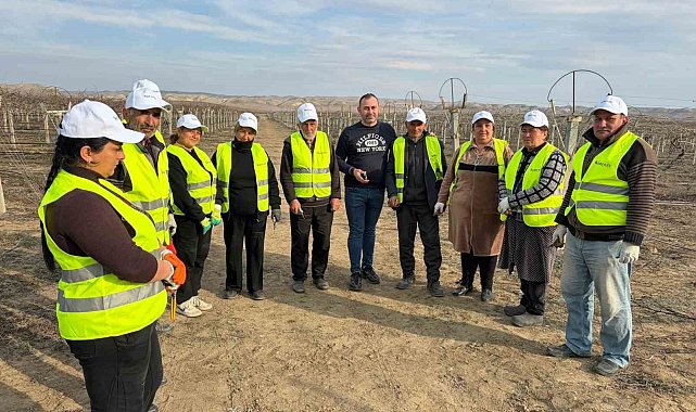 Sarıgöllü ziraat mühendisi Azerbaycan'da bağ budama tekniklerini öğretti