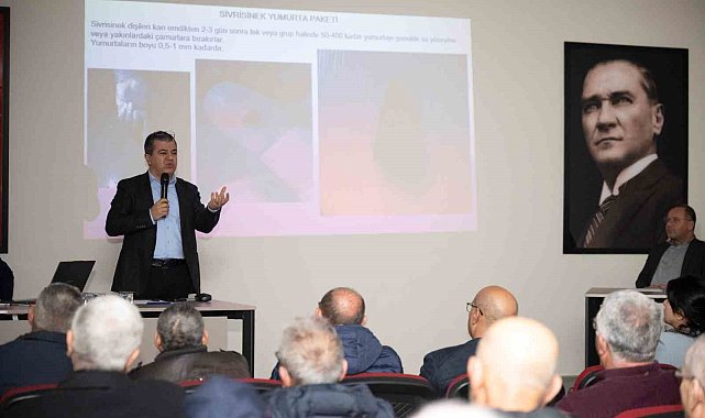 Silifke'de haşereyle mücadele için iş birliği çağrısı