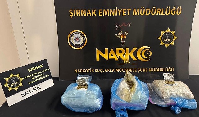 Şırnak'ta asayiş, narkotik ve kaçakçılık operasyonlarında 4 tutuklama