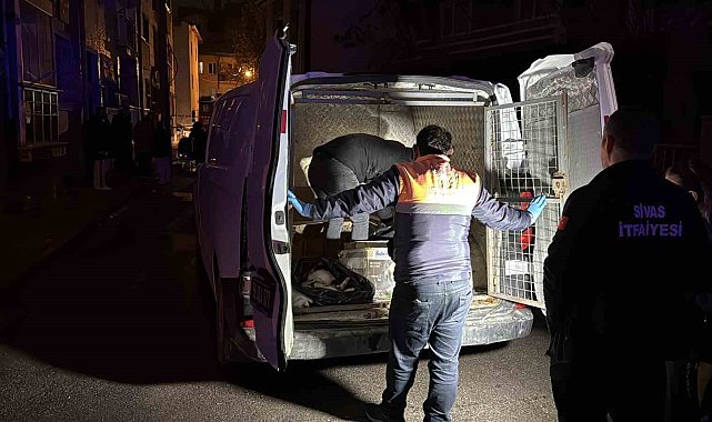 Sivas'ta 2 katlı evde çıkan yangında 26 kedi telef oldu
