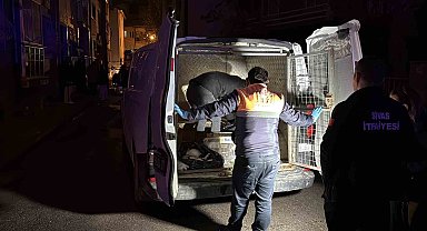 Sivas'ta 2 katlı evde çıkan yangında 26 kedi telef oldu