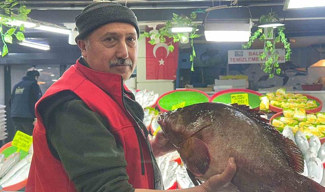 Sivas'ta 7.5 kiloluk orfoz balığı tezgahın ağası oldu