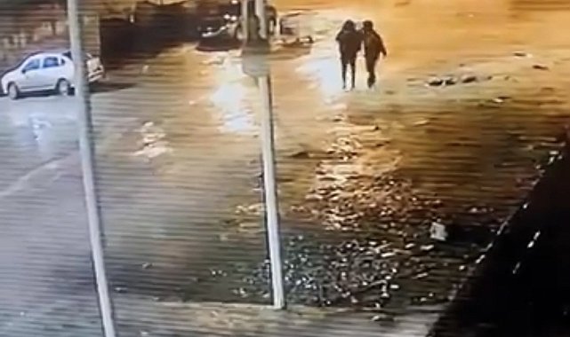 Siverek'te 19 koyun çalındı: Hırsızlık anı kamerada