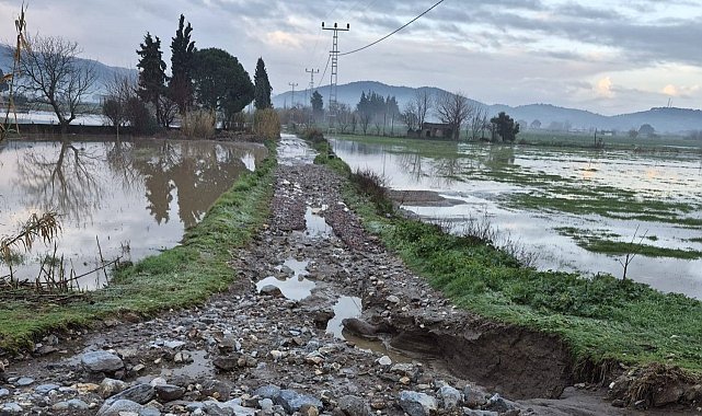 Söke'de aşırı yağışlar sonrası tarım alanlarında hasar tespiti