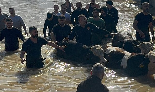 Taşan Gediz Nehri dolayısıyla mahsur kalan 44 kişi ve 127 hayvan kurtarıldı