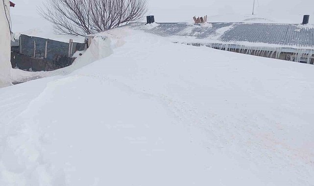 Taşlıçay'da kar yığınları evlerin boyuna ulaştı