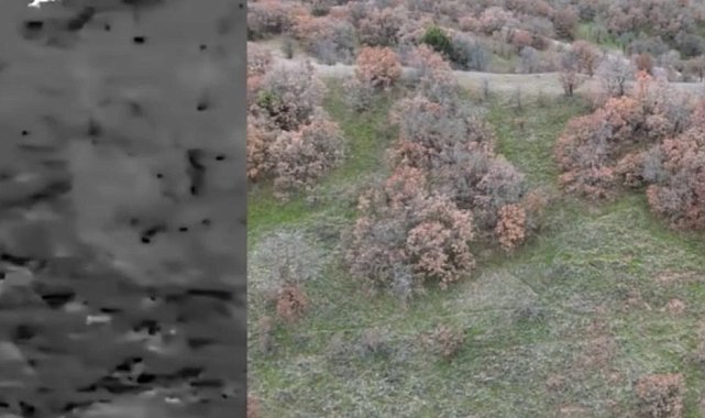 Termal drone destekli denetimde 2 kaçak avcı yakalandı