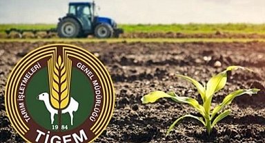 TİGEM Karacabey İşletmesi 98,7 ton kimyevi gübre alacak