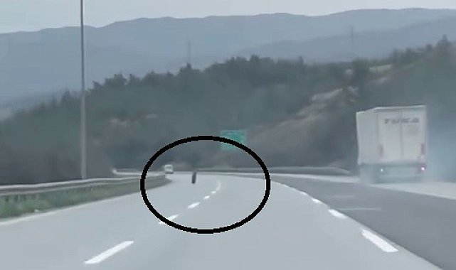 Tırdan fırlayan lastik otobanda yüzlerce metre ilerledi