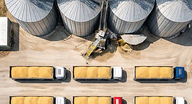 TMO'dan buğday satışı... 1,2 milyon ton stok günlük açık artırmada