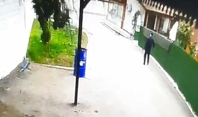 Tokat'ta fırtınanın devirdiği ağacın altında kalmaktan son anda kurtuldu