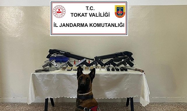 Tokat'ta silah ve fişek kaçakçılığına darbe