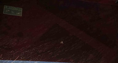 Trabzonspor: "Sporcularımızın ve teknik heyetimizin can güvenliği açık şekilde tehdit altındadır"