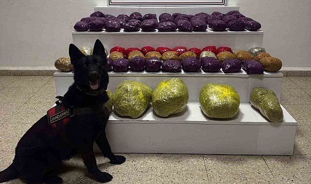 Van'da 31,5 kilo uyuşturucu ele geçirildi