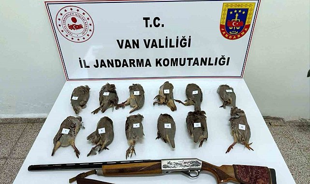 Van'da keklik avlayan kişiye 81 bin TL ceza