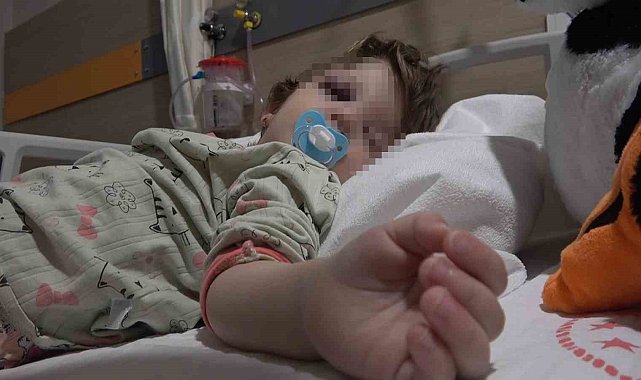 Yalova'da komşuların gürültü kavgasında 14 aylık bebek hastanelik oldu