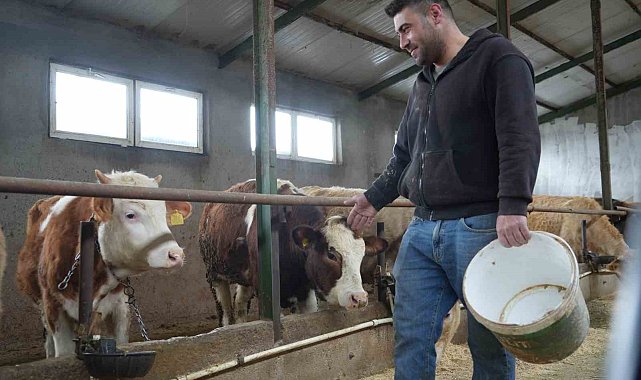 Yem desteği Bayburtlu çiftçinin yüzünü güldürdü: "Bu destek bize iyi geldi"