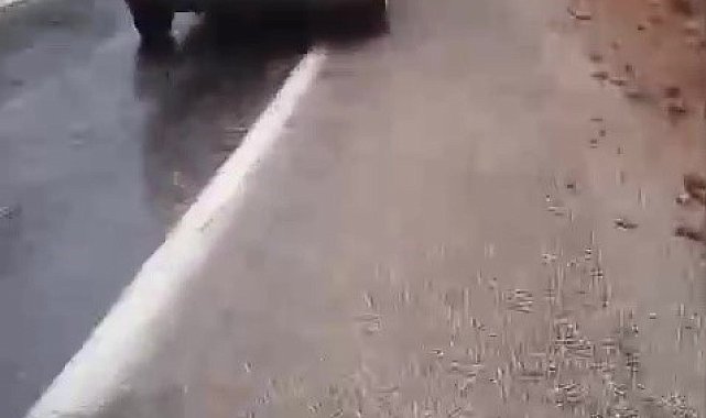 Yine aynı yer: 4 öğretmene mezar olan Tırtat mevkiinde kayalar düşmeye devam ediyor