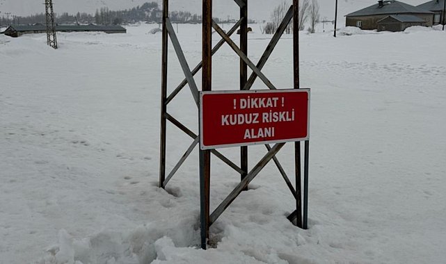 Yüksekova'da kuduz alarmı: Ekiplerin müdahalesiyle durum kontrol altına alındı