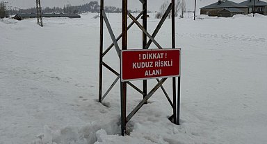 Yüksekova'da kuduz alarmı: Ekiplerin müdahalesiyle durum kontrol altına alındı