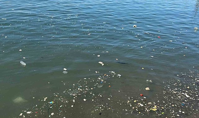 Zonguldak sahilinde çöp tepkisi