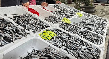 Zonguldak'ta Sevgililer Günü'ne özel hamsi kampanyası: Kilosunu 100 liradan sattılar