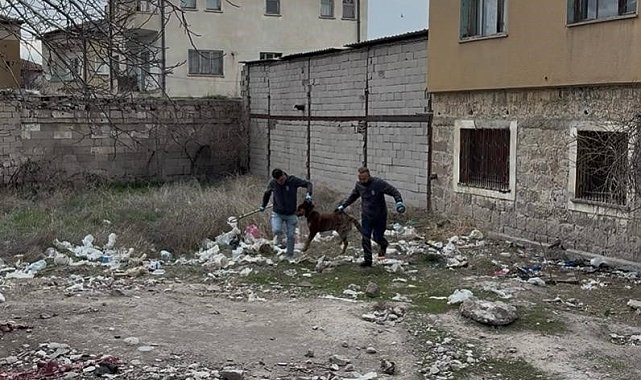 3 yaşındaki çocuğuna köpek saldıran baba: "Köpeğin çocuğumuzu bırakması için çok uğraştık"