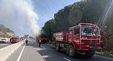 'Yangın önlemi için temizlik yapılıyor' haberinden bir saat sonra yangın çıktı